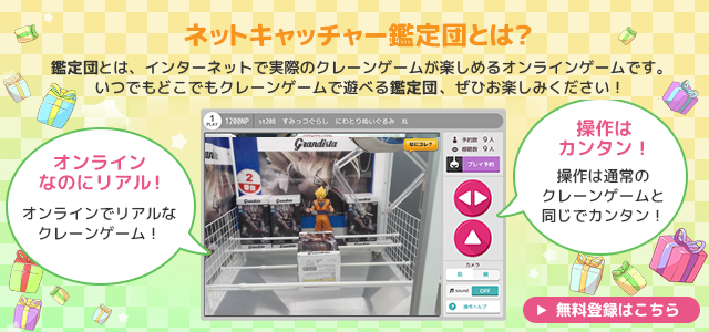 ネットキャッチャー鑑定団とは？