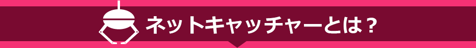 ネットキャッチャーとは？"