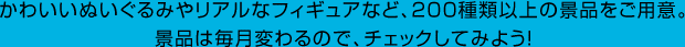 かわいいぬいぐるみやリアルなフィギュアなど、200種類以上の景品をご用意。景品は毎月変わるので、チェックしてみよう！