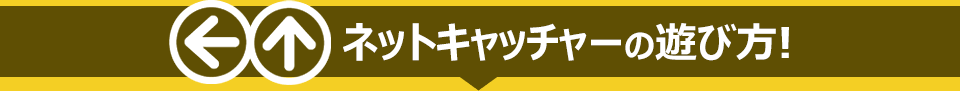 NETCHの遊び方!